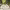 https://res.cloudinary.com/billionhands/image/upload/v1775187169/items/hluz5x0yjt9vjdoivkr0.jpg-0cover