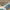 https://res.cloudinary.com/billionhands/image/upload/v1775187240/items/nzmyhopxzknig0blxauh.jpg-1cover