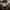 https://res.cloudinary.com/billionhands/image/upload/v1775187275/items/d2fwmq88irtpt5gv5tyb.jpg-1cover