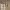 https://res.cloudinary.com/billionhands/image/upload/v1775187306/items/dyw32cwqpp1vhxjqebnb.jpg-0cover