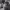 https://res.cloudinary.com/billionhands/image/upload/v1775187467/items/yisxtz8covt2bevf8ja9.png-0cover