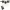 Brightech Ambience Pro Solar Powered Outdoor String Lights (2026) cover