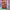 https://res.cloudinary.com/billionhands/image/upload/v1775187607/items/lio8rqbsxwksk0ho0kms.png-3cover