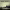 https://res.cloudinary.com/billionhands/image/upload/v1775187632/items/igeoobjgno6l9ciu1ah4.jpg-2cover