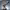 Sideshow Collectibles Luke Skywalker: Red Five, Standing By Premium Format Figure (2025) cover