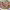 https://res.cloudinary.com/billionhands/image/upload/v1775187988/items/otedgflgbq1kt7npyhwo.jpg-2cover