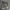 https://res.cloudinary.com/billionhands/image/upload/v1775187990/items/hohxcpys4nhfvvonjxk6.jpg-3cover