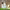 https://res.cloudinary.com/billionhands/image/upload/v1775187997/items/ceidmdetji0orkryay4k.jpg-0cover