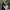 Bodas de famosos más destacadas de 2025 cover