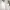 https://res.cloudinary.com/billionhands/image/upload/v1775188003/items/odsezwpauca4emsjyh3m.webp-1cover