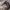 https://res.cloudinary.com/billionhands/image/upload/v1775188003/items/oxwyzjbqypvgviklf9mk.avif-2cover