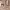 https://res.cloudinary.com/billionhands/image/upload/v1775188008/items/cgxgecg8lvnz7sl0qcyn.avif-1cover
