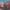 https://res.cloudinary.com/billionhands/image/upload/v1775188019/items/rhpug5iobvaxjxomjtpi.jpg-1cover