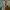 https://res.cloudinary.com/billionhands/image/upload/v1775188064/items/bs6x6fgedzgiew7q2bm5.webp-2cover