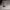 https://res.cloudinary.com/billionhands/image/upload/v1775188176/items/klxtpytgcicf02ro4rrf.webp-3cover