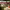 https://res.cloudinary.com/billionhands/image/upload/v1775188248/items/b2nt0snv4pr0uylwf9zj.jpg-3cover