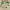 https://res.cloudinary.com/billionhands/image/upload/v1775188290/items/bkbmnsclmmfvmmg39flf.webp-3cover