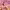 https://res.cloudinary.com/billionhands/image/upload/v1775188326/items/jjarpkihbl4qf9yjnean.avif-3cover
