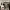 https://res.cloudinary.com/billionhands/image/upload/v1775188334/items/mnxtzwcpgqv8perow9yz.webp-2cover