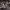 https://res.cloudinary.com/billionhands/image/upload/v1775188451/items/w1kj0xocmtrq4f4ucw2u.jpg-3cover
