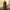 https://res.cloudinary.com/billionhands/image/upload/v1775188485/items/xgmlrybzfnsjsolbmvdv.webp-2cover