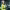 https://res.cloudinary.com/billionhands/image/upload/v1775188888/items/neelxdjkk3evmeb7forv.webp-1cover
