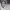 https://res.cloudinary.com/billionhands/image/upload/v1775188892/items/s6hi8hp4zge9cpfmabdl.jpg-2cover