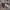 https://res.cloudinary.com/billionhands/image/upload/v1775189086/items/qnz4azyaklymta6m4bdo.webp-1cover