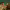 https://res.cloudinary.com/billionhands/image/upload/v1775189111/items/mbihjrs8amidiq5oxej0.jpg-3cover