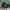 Tierra Whack - Unemployed (2019) cover