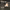 https://res.cloudinary.com/billionhands/image/upload/v1775189793/items/esbkb2w4ox3xlekjjrsf.jpg-2cover