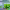 https://res.cloudinary.com/billionhands/image/upload/v1775189812/items/fuurrhk4ljtllslomwlh.webp-3cover