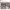 https://res.cloudinary.com/billionhands/image/upload/v1775189884/items/nqms1ehatdtiyhvtzg3j.webp-3cover