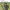 https://res.cloudinary.com/billionhands/image/upload/v1775189909/items/gfntm1lxjrjl7cmtzldc.jpg-0cover