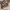 https://res.cloudinary.com/billionhands/image/upload/v1775189909/items/qcgnhlmktlncqba1cpwn.jpg-1cover