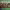 https://res.cloudinary.com/billionhands/image/upload/v1775189960/items/sn1icbbbh7yqnjm0pkbx.jpg-3cover