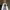 https://res.cloudinary.com/billionhands/image/upload/v1775189995/items/of9lqi804u4tcdmawyi2.jpg-1cover