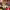 https://res.cloudinary.com/billionhands/image/upload/v1775190079/items/ha3wzf4loqz6wtntpcda.webp-0cover
