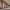 https://res.cloudinary.com/billionhands/image/upload/v1775190196/items/ismfexdvsutmrnsvjwgf.webp-1cover