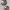 https://res.cloudinary.com/billionhands/image/upload/v1775190214/items/pfcy4wzjqwa39xnyhgzy.webp-1cover