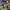 https://res.cloudinary.com/billionhands/image/upload/v1775190223/items/ynh8vgzocljoufkl6ejg.webp-3cover