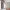 https://res.cloudinary.com/billionhands/image/upload/v1775190406/items/ekqdch4wsdif8j9dqcpw.jpg-1cover