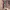 https://res.cloudinary.com/billionhands/image/upload/v1775190407/items/mxi2yttmo6fwidz2sqvc.jpg-0cover