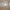 https://res.cloudinary.com/billionhands/image/upload/v1775190408/items/dmm4ulx6ce9acosr6b4v.webp-0cover