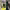 https://res.cloudinary.com/billionhands/image/upload/v1775190409/items/herxr44igv52ebtlxvcq.jpg-1cover