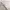 https://res.cloudinary.com/billionhands/image/upload/v1775190431/items/fgbsbxnj7pskpfq8gpzb.jpg-3cover