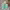 https://res.cloudinary.com/billionhands/image/upload/v1775190527/items/k9oyodnm8t378wzf14tj.jpg-0cover