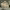https://res.cloudinary.com/billionhands/image/upload/v1775190563/items/u1y4lxclpslvga7fscdo.jpg-0cover