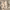 https://res.cloudinary.com/billionhands/image/upload/v1775190582/items/pxgvs2beg3vuuoabhhbr.jpg-3cover