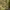 https://res.cloudinary.com/billionhands/image/upload/v1775190675/items/trxjbxcstvsddiazj5u1.webp-0cover